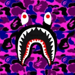 Meet your Posher, Donald